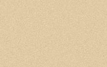 Load image into Gallery viewer, Oracal 8810 Frosted Vinyl- will not be restocked once sold