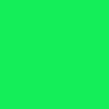 Load image into Gallery viewer, Siser EasyWeed HTV 15&quot;
