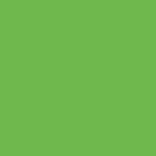 Load image into Gallery viewer, Siser EasyWeed HTV 15&quot;

